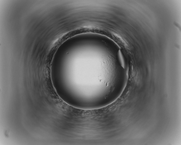 X0000095880776200801111133