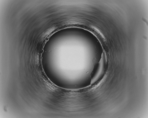 X0000095880777200801111133