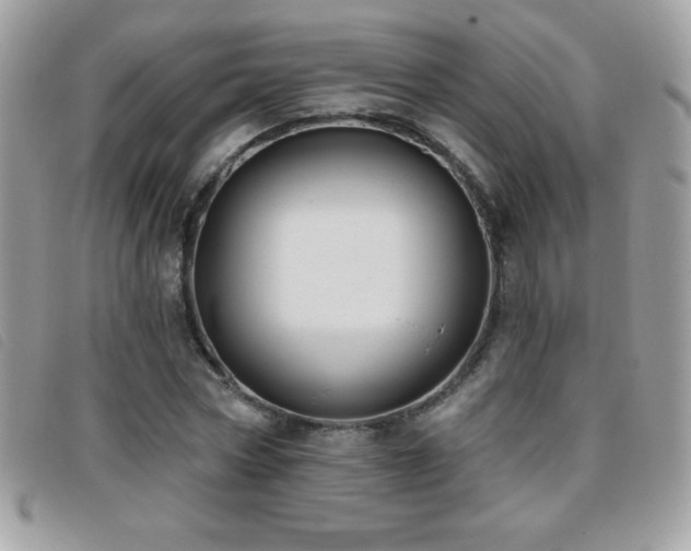 X0000095880778200801111132