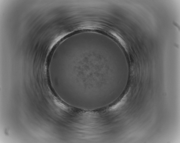 X0000095880779200801111132