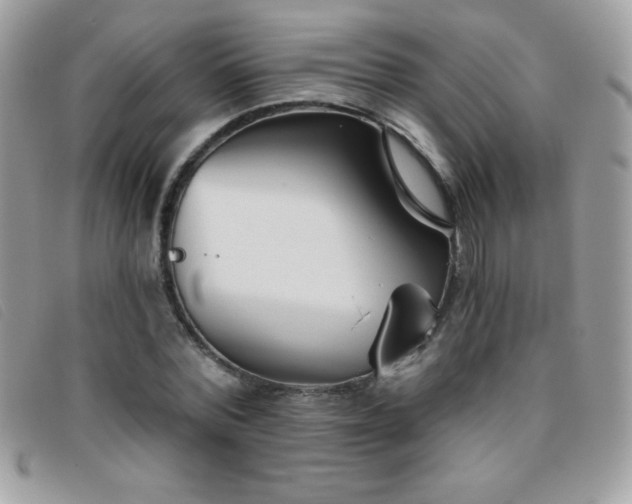 X0000095880780200801111132