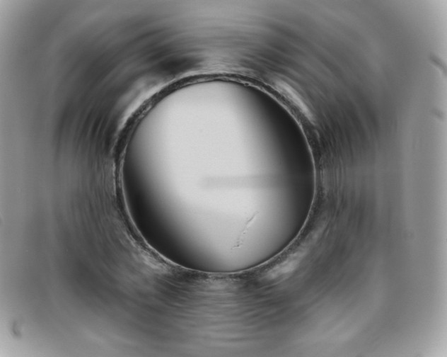 X0000095880781200801111132
