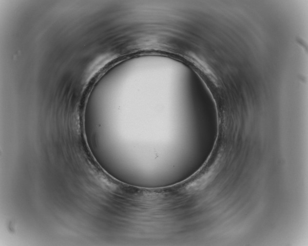 X0000095880782200801111132