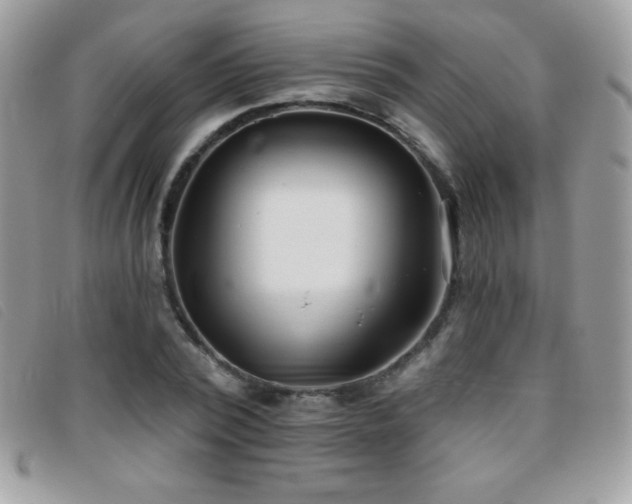 X0000095880784200801111132