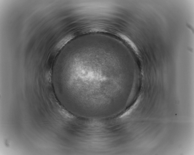 X0000095880785200801111132