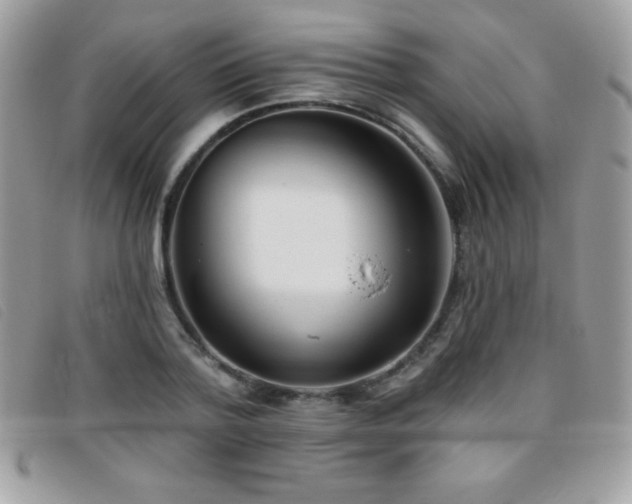 X0000095880788200801111132