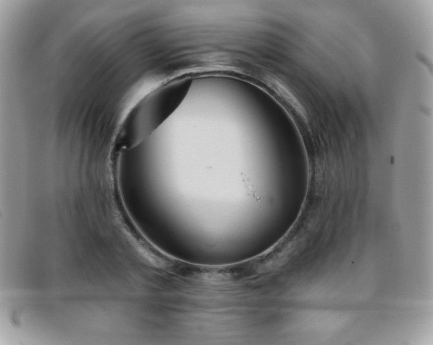 X0000095880789200801111132
