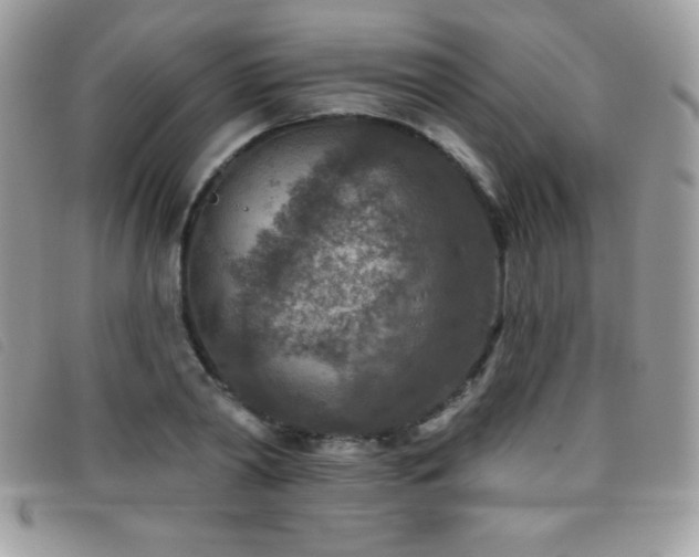 X0000095880790200801111132