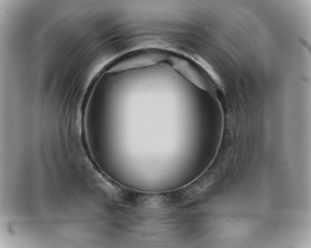 X0000095880791200801111132
