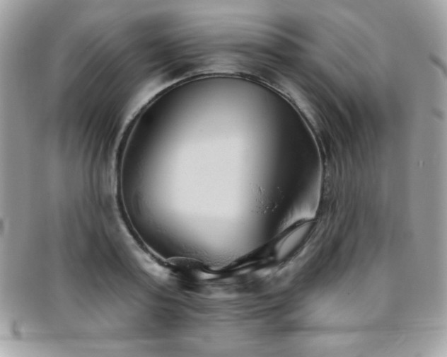 X0000095880795200801111132