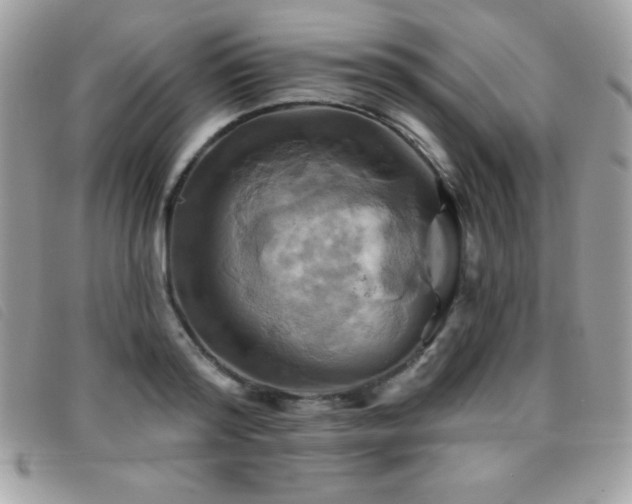 X0000095880796200801111132