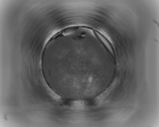 X0000095880797200801111132