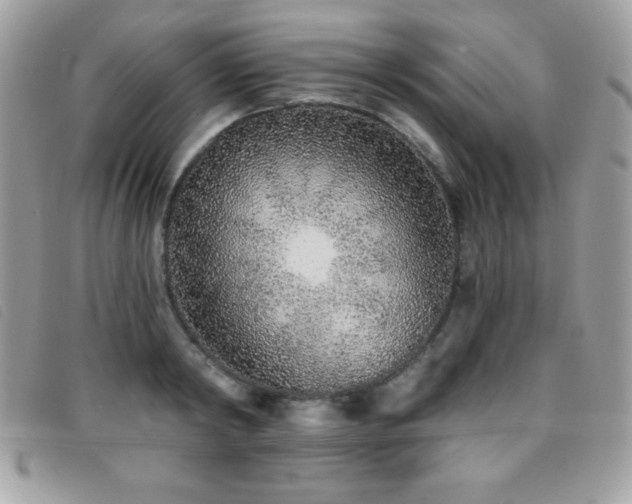 X0000095880798200801111132