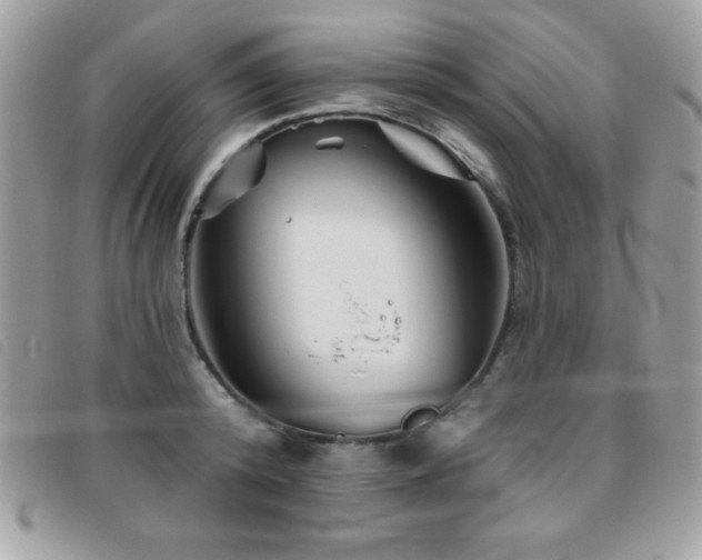 X0000095880800200801111132