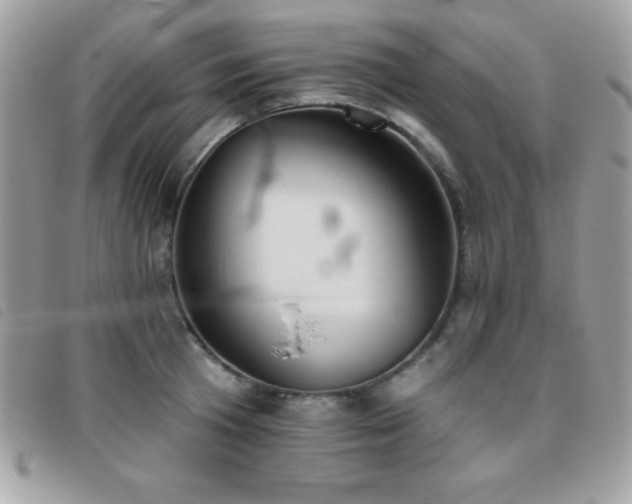 X0000095880801200801111132