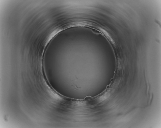X0000095880802200801111132