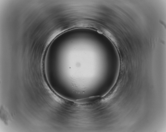 X0000095880803200801111132