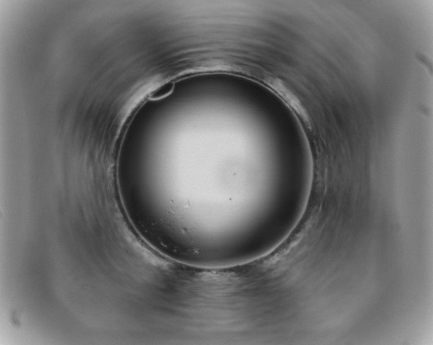 X0000095880805200801111132