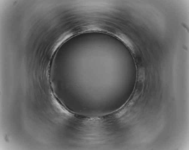 X0000095880806200801111132