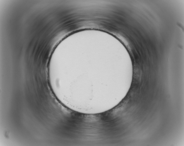 X0000095880807200801111132