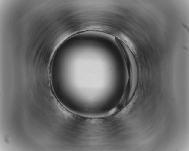X0000095880808200801111132