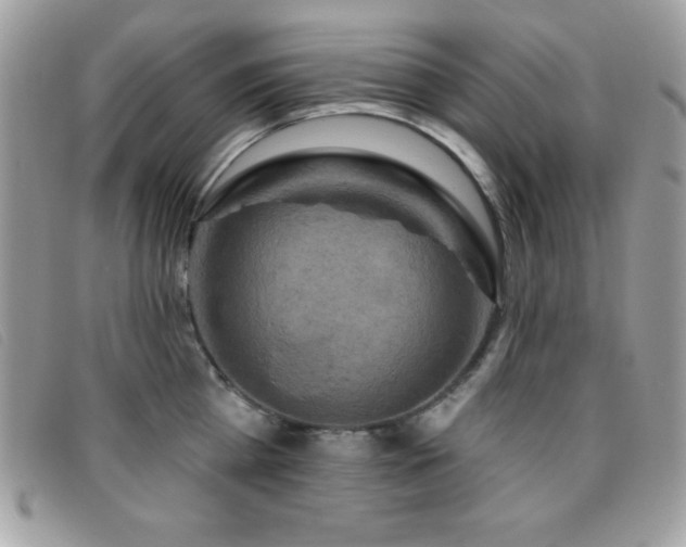 X0000095880809200801111132