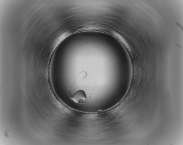 X0000095880810200801111132
