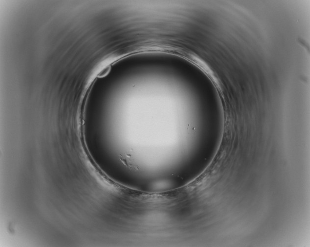 X0000095880811200801111132