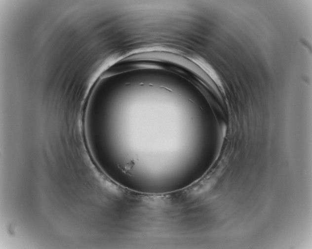X0000095880813200801111132