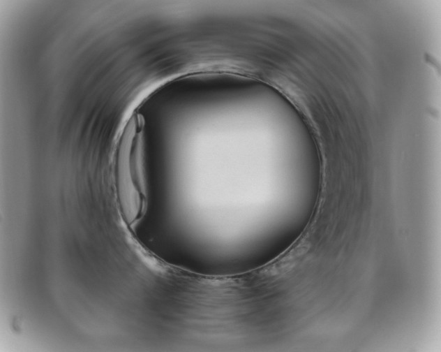 X0000095880816200801111132