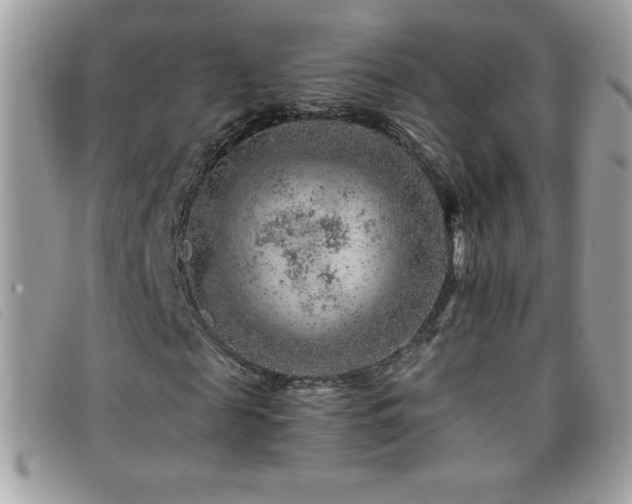 X0000095880817200801111131