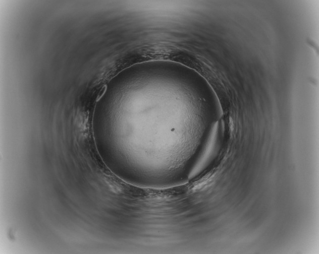X0000095880818200801111131
