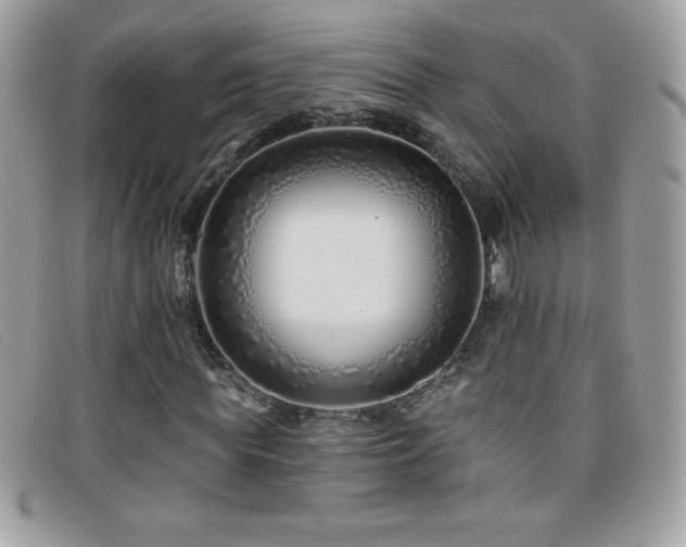 X0000095880819200801111131