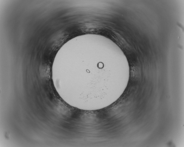 X0000095880820200801111131