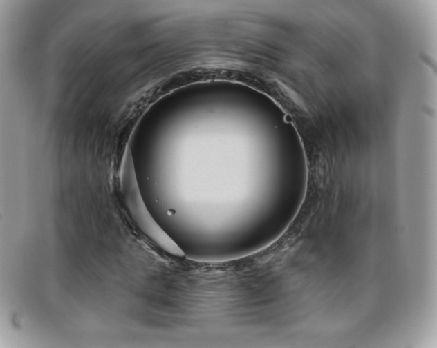 X0000095880821200801111131