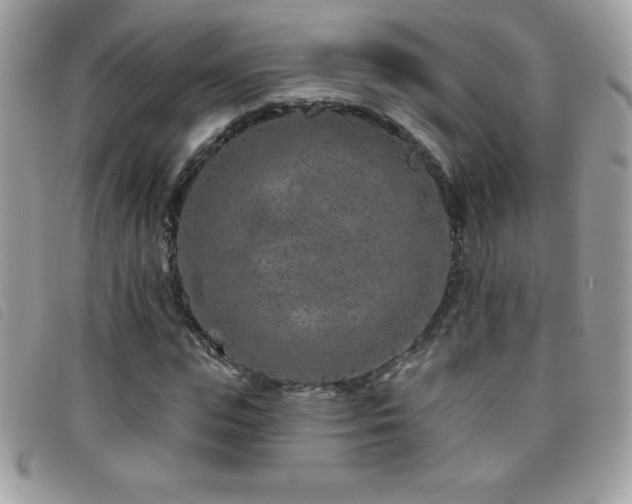X0000095880823200801111131