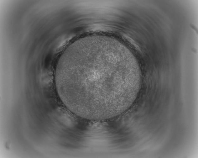 X0000095880824200801111131