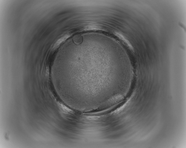 X0000095880825200801111131