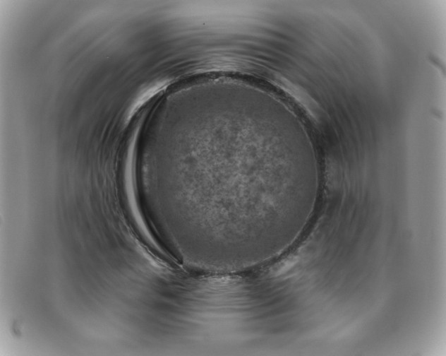 X0000095880826200801111131