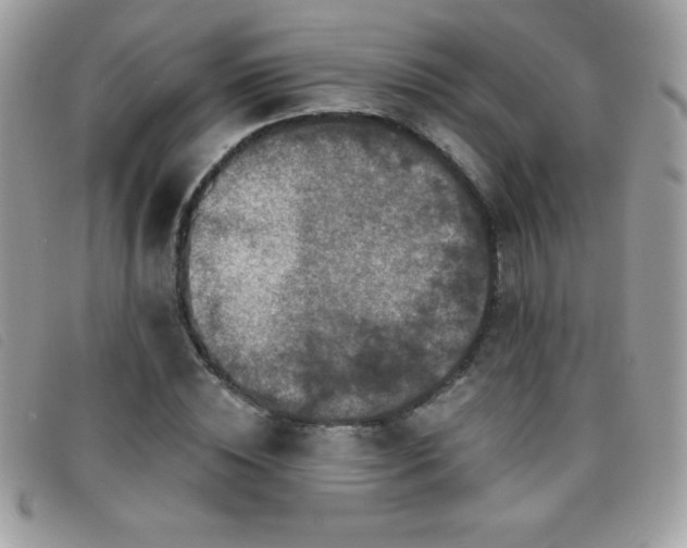 X0000095880828200801111131