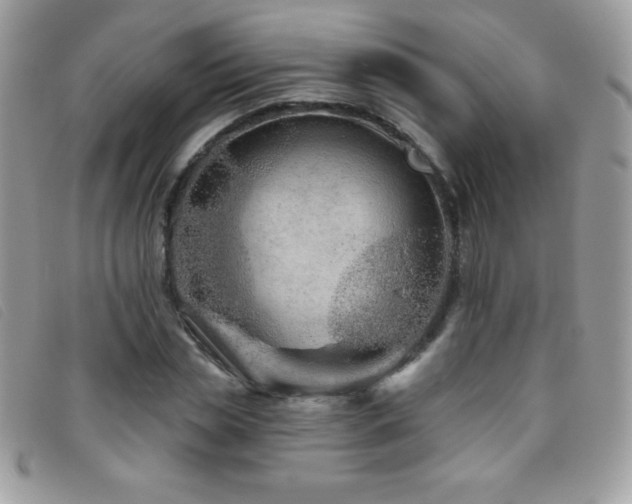 X0000095880829200801111131
