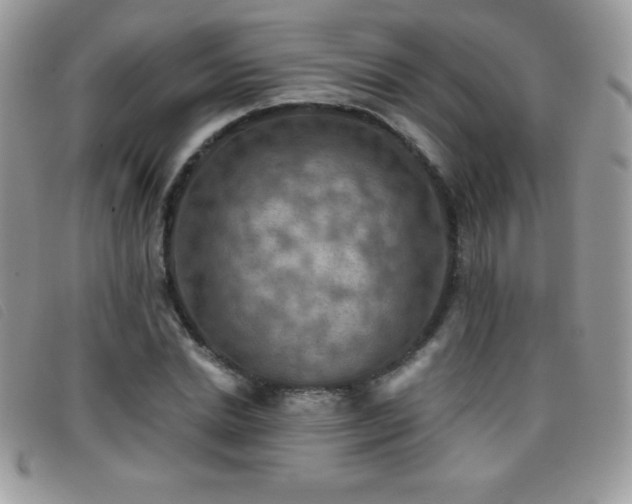 X0000095880830200801111131