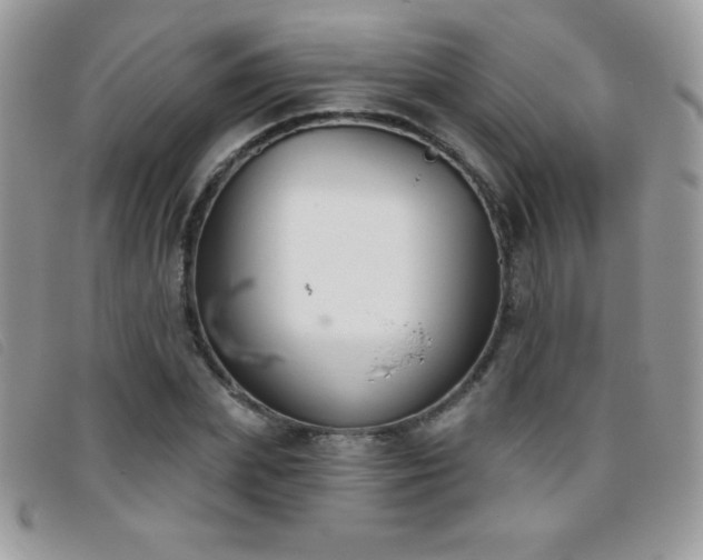 X0000095880831200801111131
