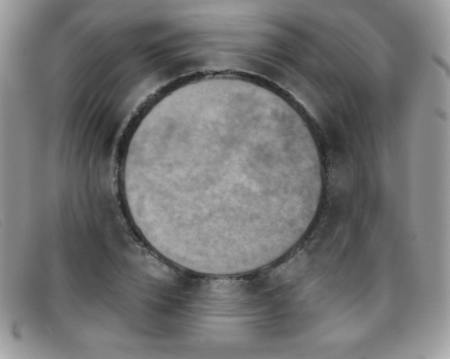 X0000095880832200801111131