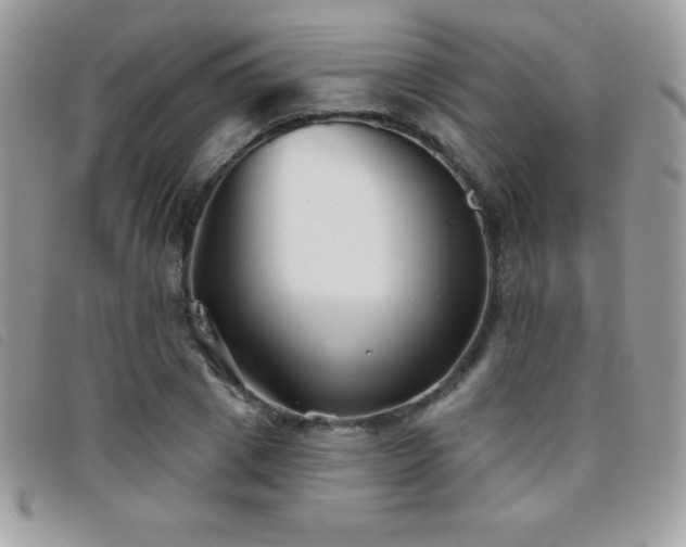 X0000095880833200801111131