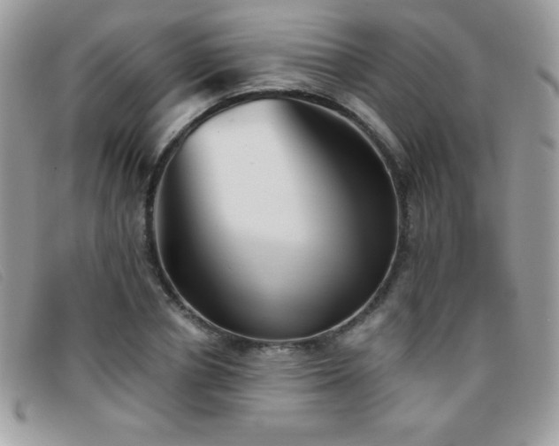 X0000095880834200801111131