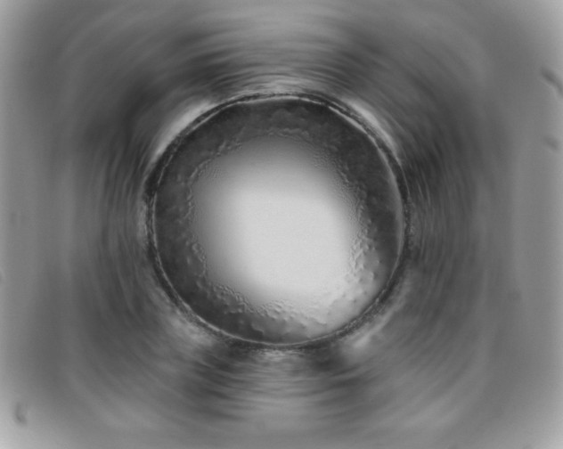 X0000095880835200801111131