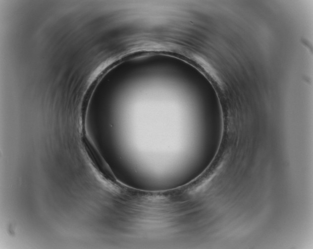 X0000095880837200801111131