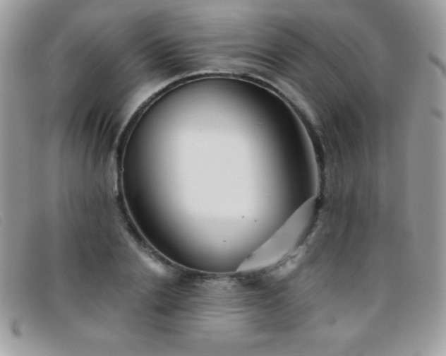 X0000095880838200801111131