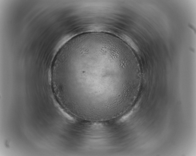 X0000095880839200801111131